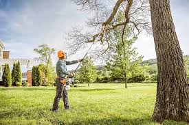 Best Pest Control for Lawns  in Gunnison, CO